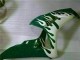 2006-2007 Honda CBR1000RR Motorcycle Fairings - White Green Flame