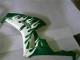2006-2007 Honda CBR1000RR Motorcycle Fairings - White Green Flame