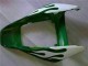 2006-2007 Honda CBR1000RR Motorcycle Fairings - White Green Flame