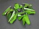 2008-2012 Kawasaki EX250 Motorcycle Fairing - Green White Black
