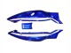 1996-2007 Yamaha YZF600R Thundercat Motorcycle Fairings - Blue White Black