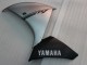 2009-2011 Yamaha YZF 1000 R1 Motorcycle Fairing - Silver Black