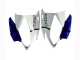 2006-2007 Yamaha YZF 600 R6 Motorcycle Fairings - White Blue Jordan
