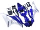 2006-2007 Yamaha YZF 600 R6 Motorcycle Fairings - White Blue Black