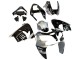 2002-2003 Kawasaki ZX9R Motorcycle Fairings - Silver Glossy Black Monster Elf