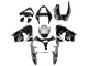 2002-2003 Kawasaki ZX9R Motorcycle Fairings - Silver Glossy Black Monster Elf