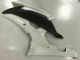 White 2008-2016 YZF R6 Motorcycle Fairings White 2008-2016 YZF R6 Motorcycle Fairings