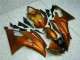 Orange 2008-2016 YZF R6 Motorcycle Fairing